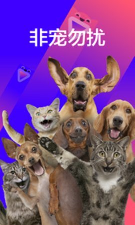 宠音短视频 3.7.3截图2 宠音短视频 3.7.3截图2