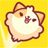皮皮猫 1.00.10229
