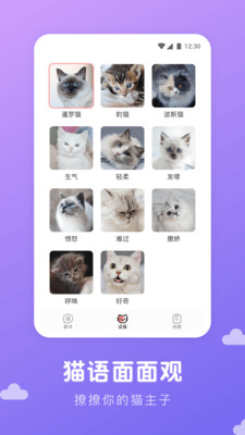 猫语翻译君截图2 猫语翻译君截图2