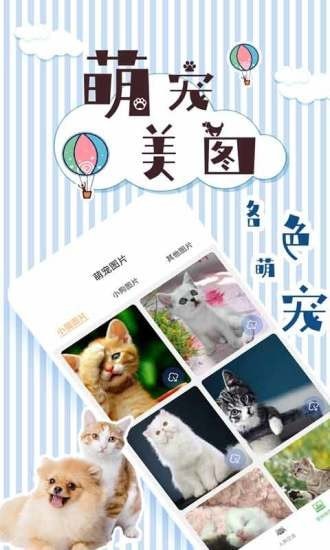 人猫翻译交流器截图5 人猫翻译交流器截图5
