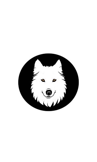 小狼直通车截图1