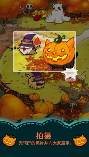 花梢猫 3.5.2截图2