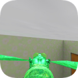 苍蝇生存3D模拟 1.0