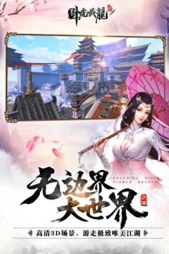 卧虎藏龙贰 1.0.28截图1 卧虎藏龙贰 1.0.28截图1