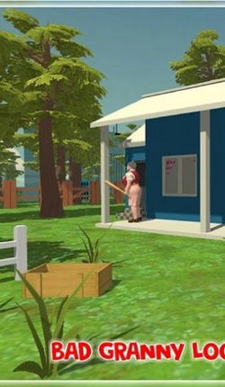 神奇的老奶奶 1.2.11截图1