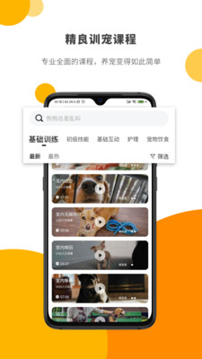 Paw截图1