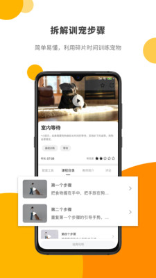 Paw截图2