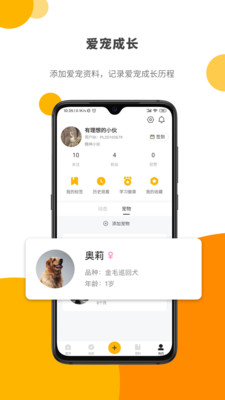 Paw截图5
