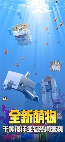 我的世界海洋版 1.15.10.76700截图3