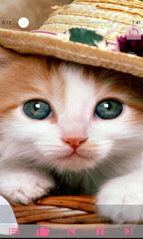 蜜蜂农运截图1 蜜蜂农运截图1