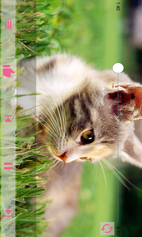 蜜蜂农运截图3 蜜蜂农运截图3