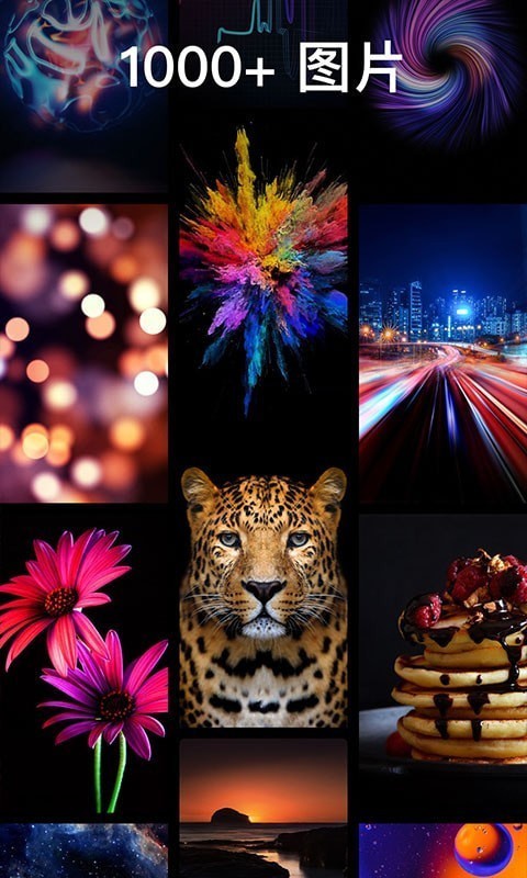 灵猫壁纸大全截图2 灵猫壁纸大全截图2