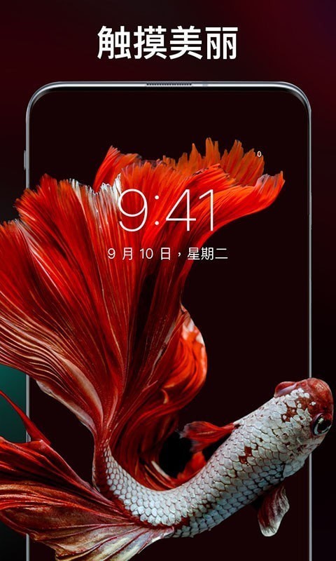 灵猫壁纸大全截图3 灵猫壁纸大全截图3