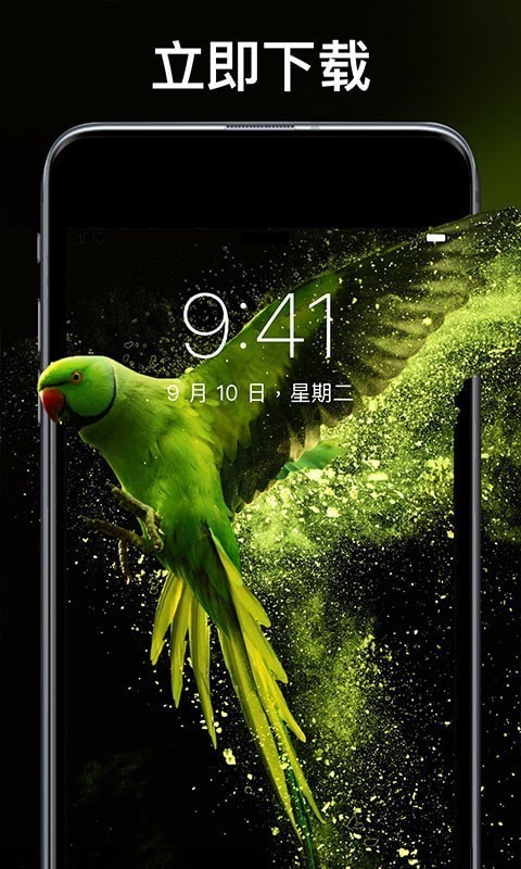 灵猫壁纸大全截图4 灵猫壁纸大全截图4