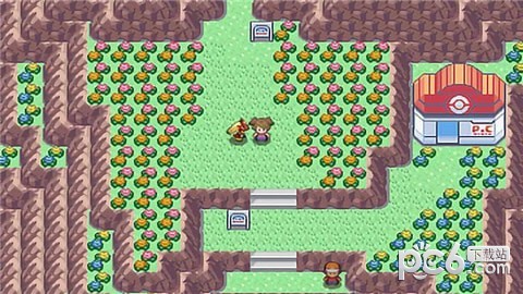 宠物集结 1.2.2截图3