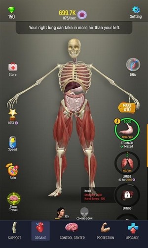 器官演变 1.0截图4