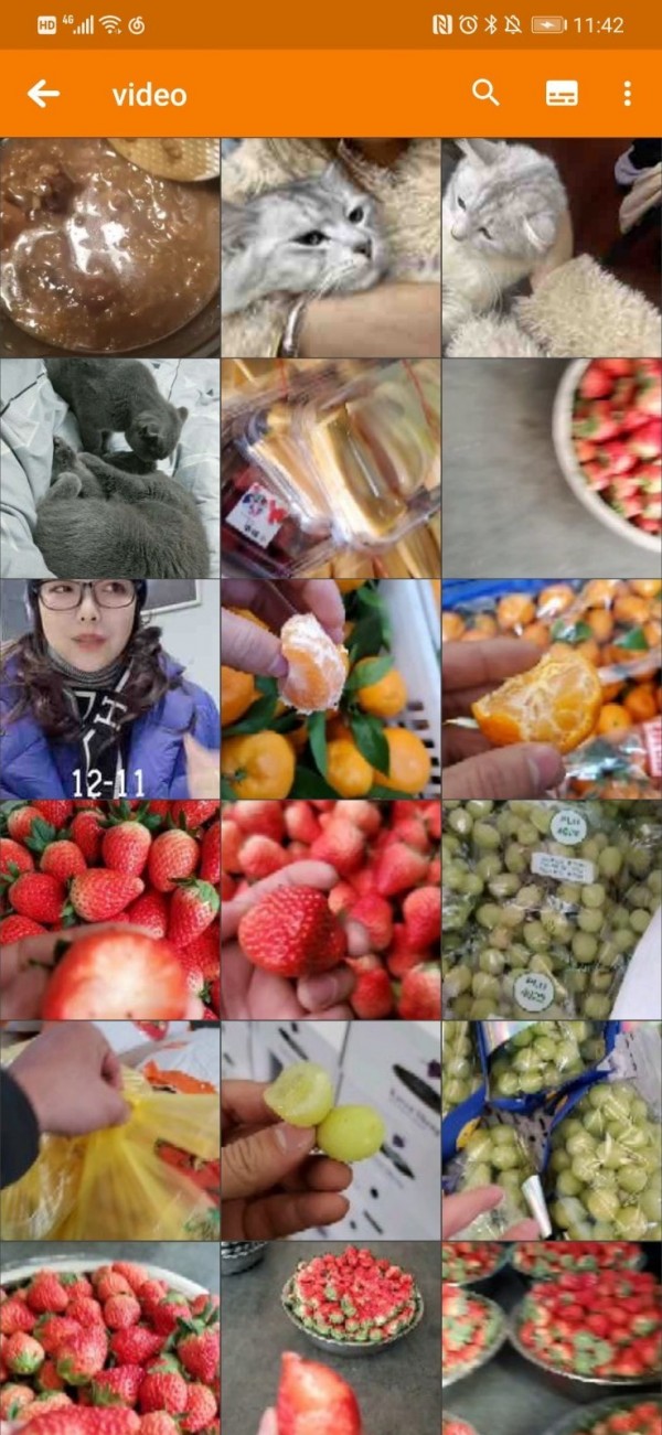 青青相册管家截图3