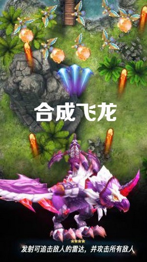 合成飞龙 1.0.0截图4