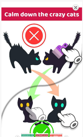 我是大聪明 1.0截图4