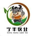 宁丰牧业 1.0