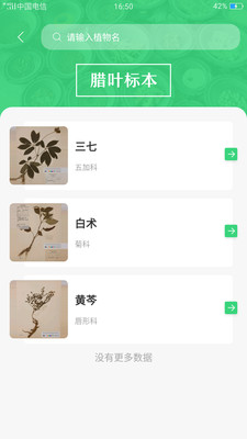 照药镜截图4 照药镜截图4