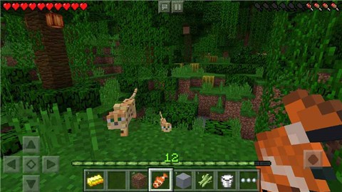 我的世界1.1.3.1测试版截图1