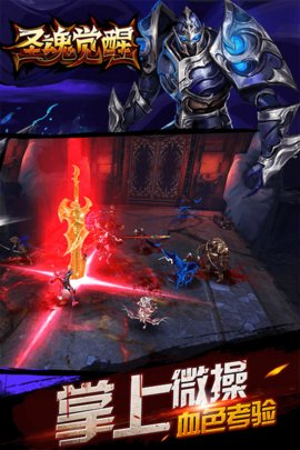 圣魂觉醒破解版 v1.6.3 安卓版截图3