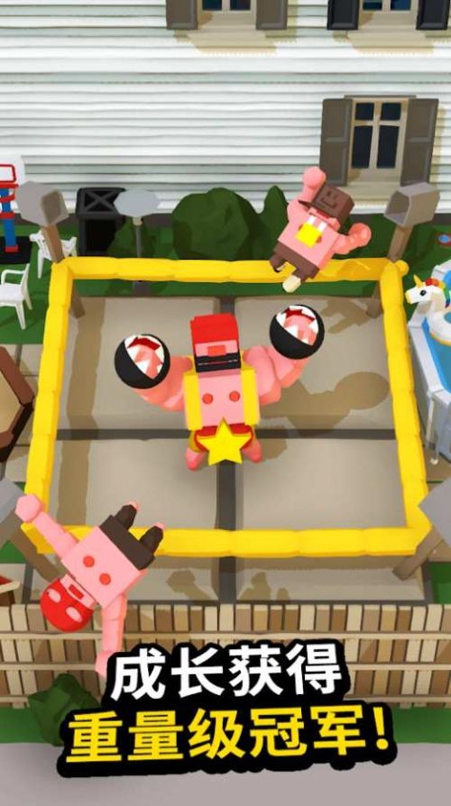 最后的拳王 0.45截图1