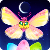 蝴蝶之星夜 1.611