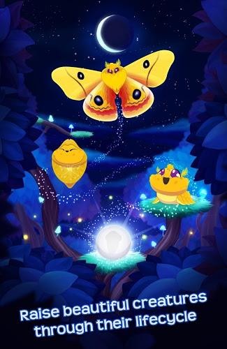 蝴蝶之星夜 1.611截图1 蝴蝶之星夜 1.611截图1