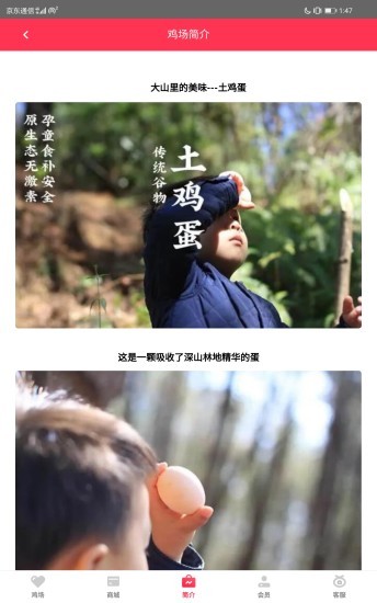 临空庄园 6.5.11截图4 临空庄园 6.5.11截图4