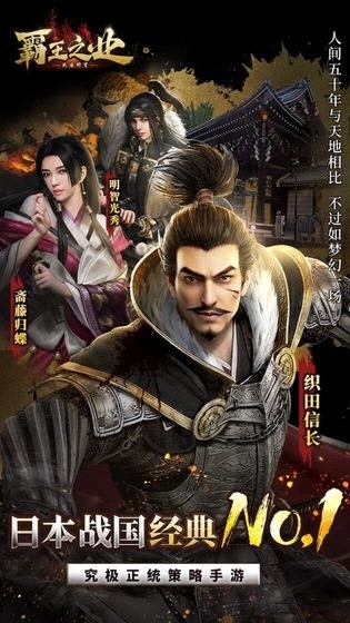 霸王之业战国野望 1.0.1截图1