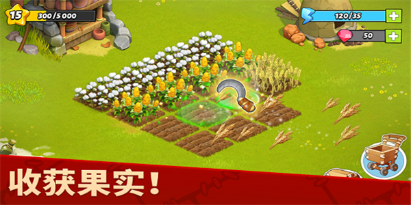 家庭岛农场 201908截图2