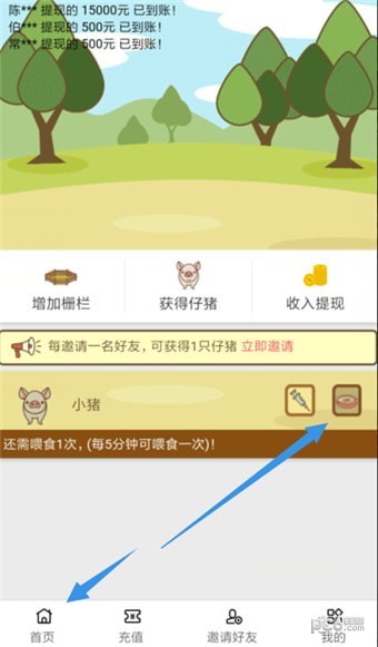 趣赚养猪截图1 趣赚养猪截图1