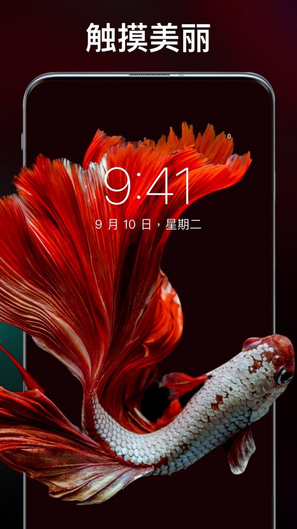 主题刘海壁纸截图4 主题刘海壁纸截图4